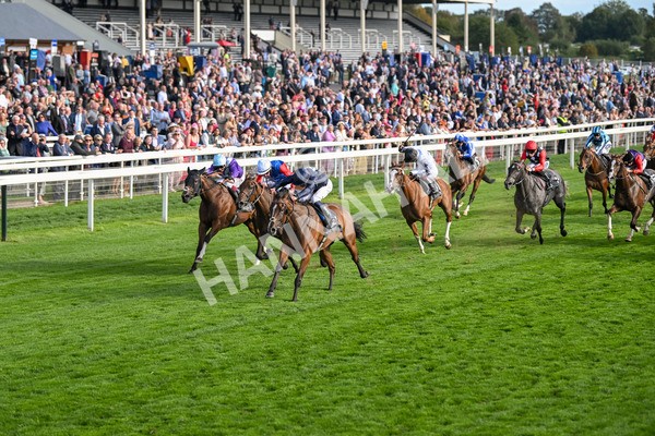 210825-Race 7-Royal Velvet-5635 - Race 7 5.20pm British EBF Fillies' Handicap