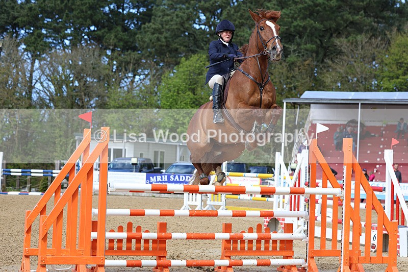 3E7A2101 - Class 8: Senior Foxhunter/1.20 open