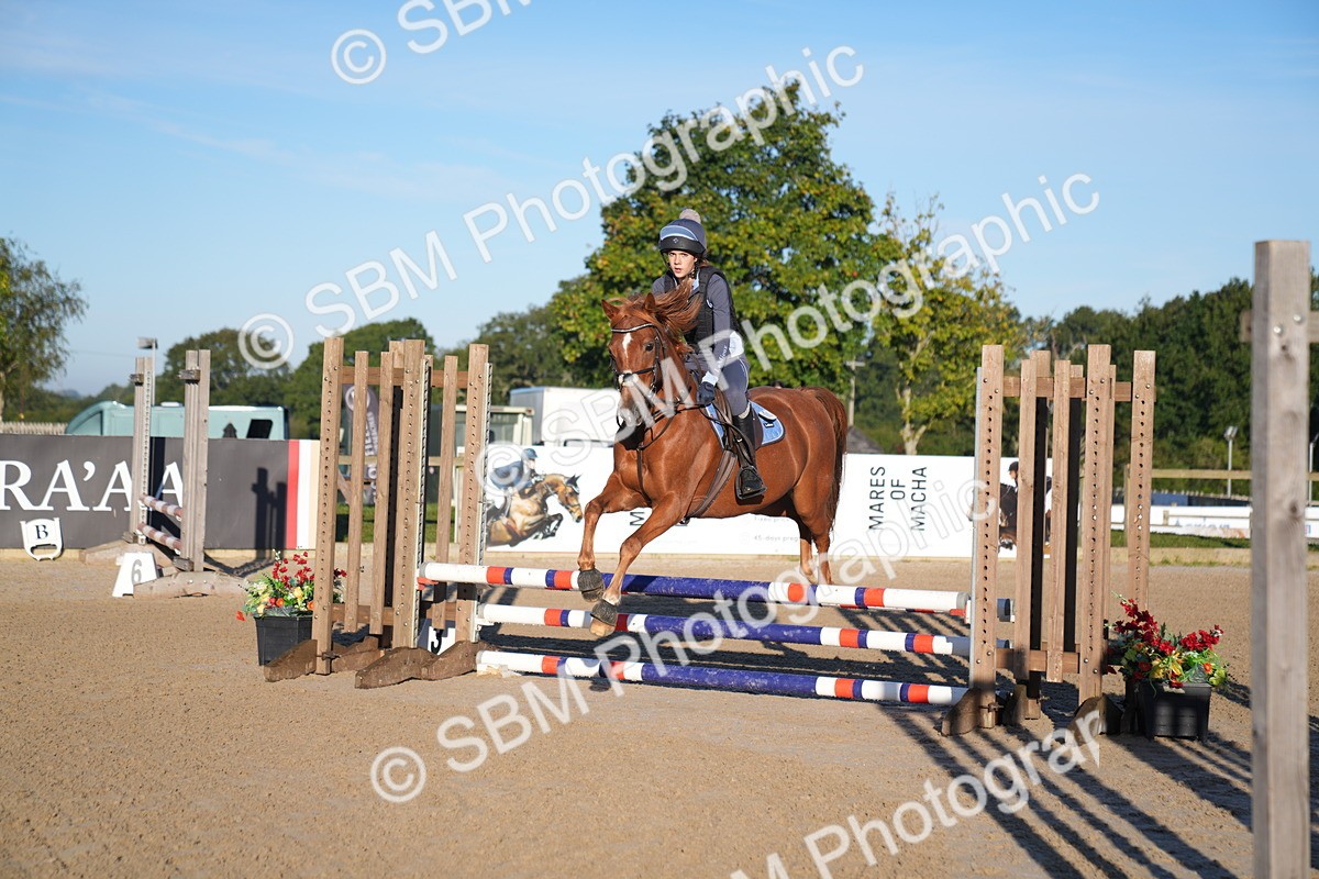 SBM_13956 - J59 - Clear Round - 65cm