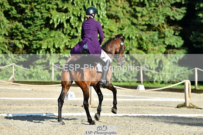 230623-184012-03310 - Cls 11 FEI PSG