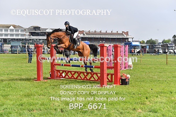 BPP_6671 - CLASS 2 RHS Classic Champ Qual (1.20m)