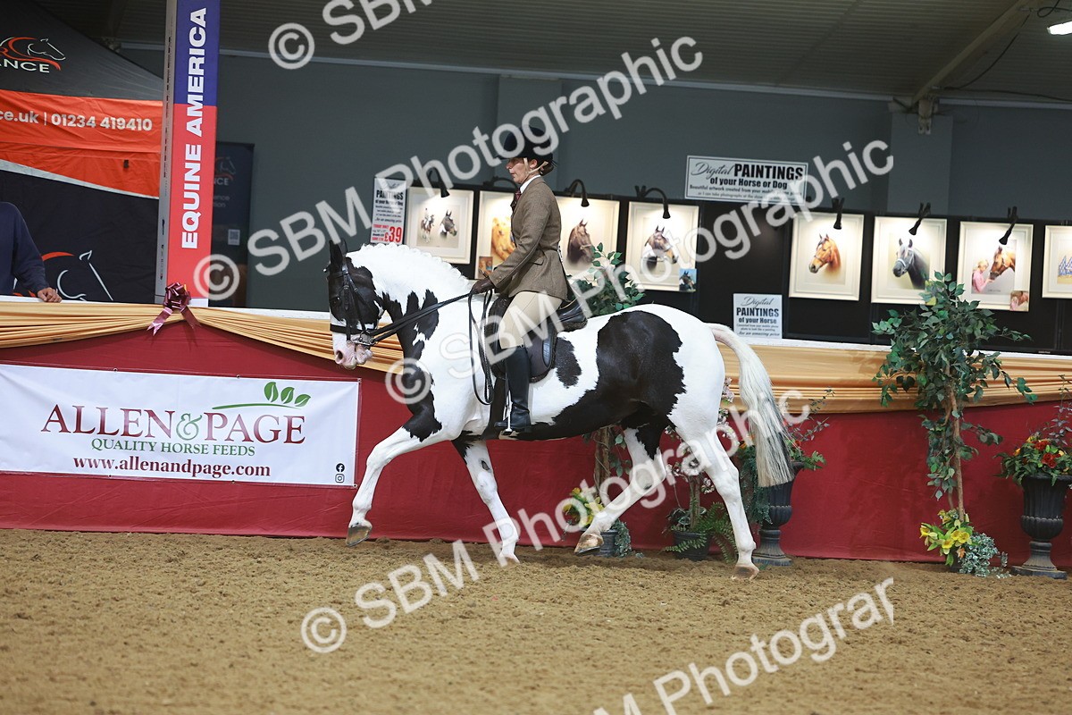 SBM_10564 - Class 103 - HOYS Veteran Qualifier - Ridden Pre Vet