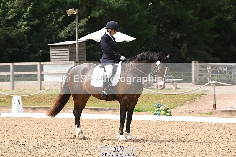 250720A-115634-10074 - 079-Amanda.Williams-Llanarth.Westminster