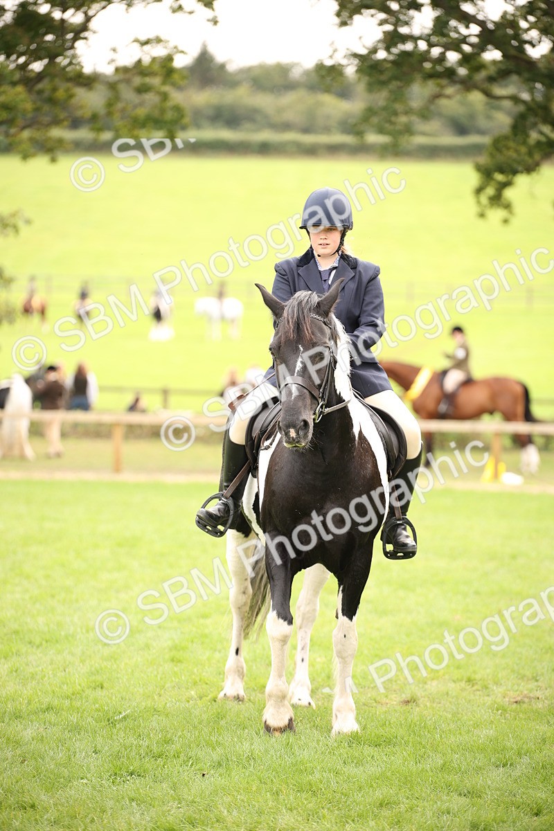 SBM_72363 - S67 - Show Cob Ridden