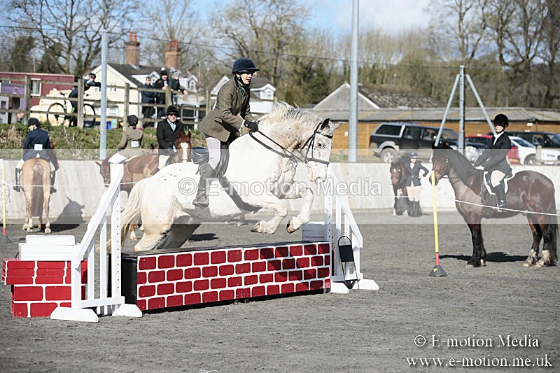 BVRC SJ 170319 130 - Bourne Valley Riding Club Showjumping 17/03/19