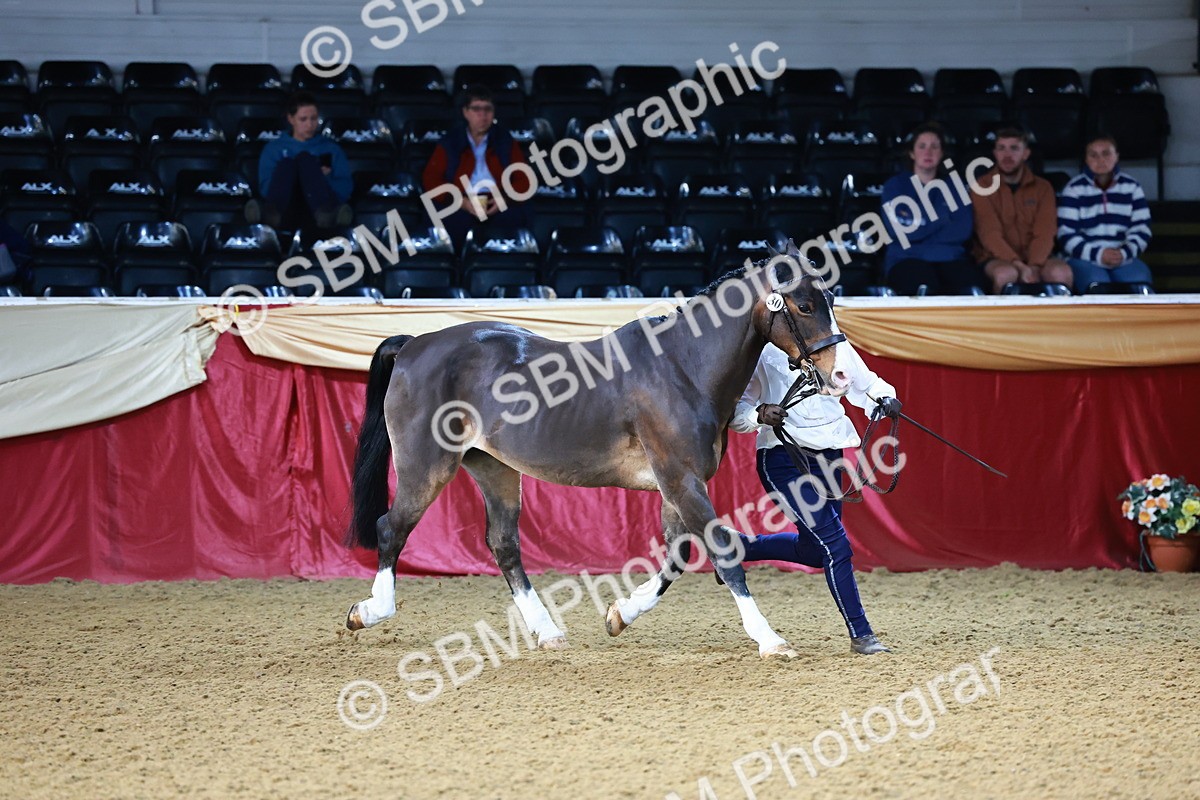 SBM_21735 - Class 901 - Supreme Final - IH  Diamond