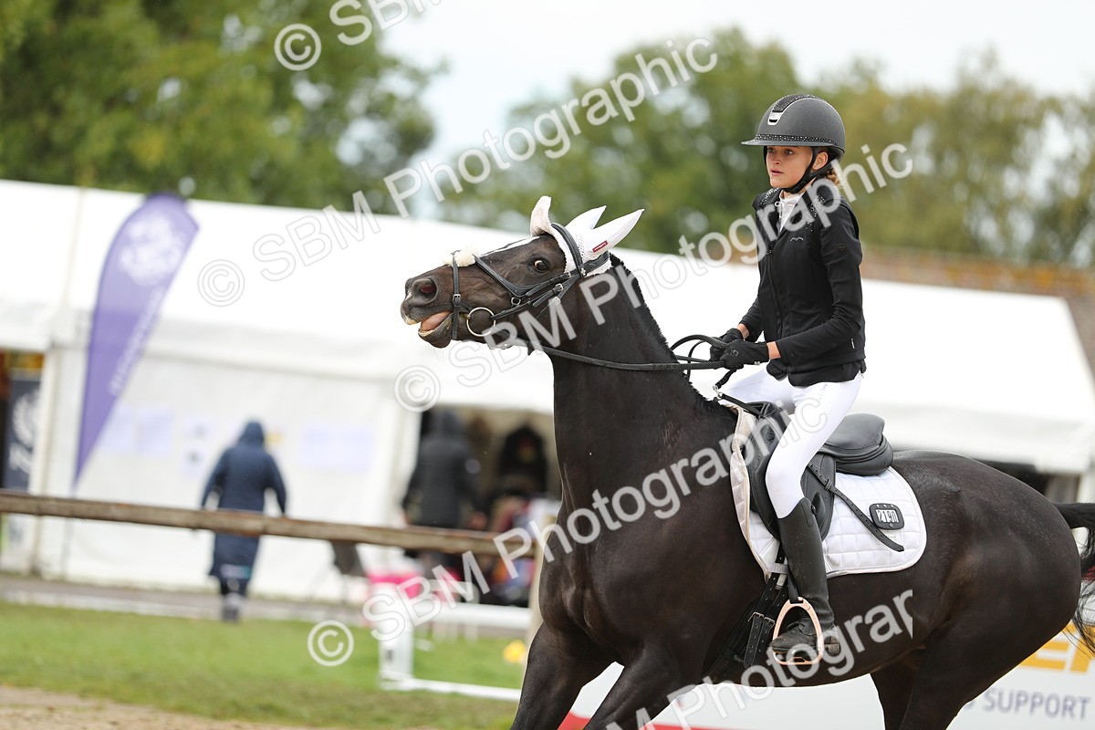 SBM_40427 - J21 - Junior Horse 60cm Championship