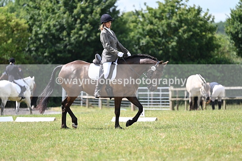 WJ7_4814 - Time 11:22 to 11:51