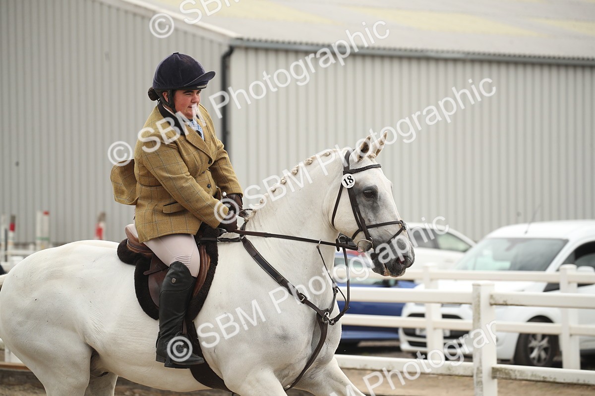 SBM_17700 - Class 508a - Working Veteran 70cm (15-19)