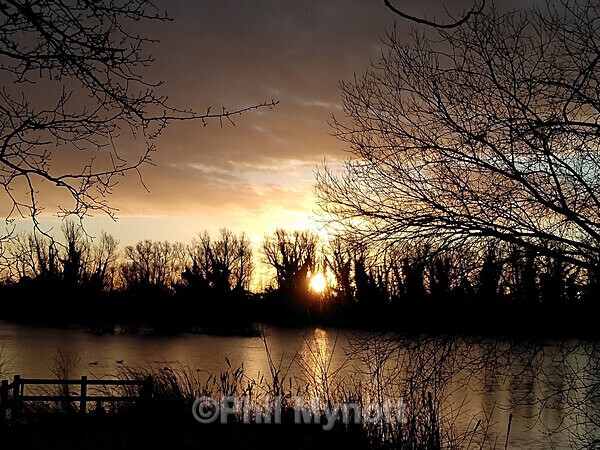 ART0009 - Photo Mynott ART Images