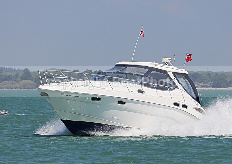 130527 SPICE FOR LIFE SEALINE S43 VWT7A6754 - Motorboats - Hardtop