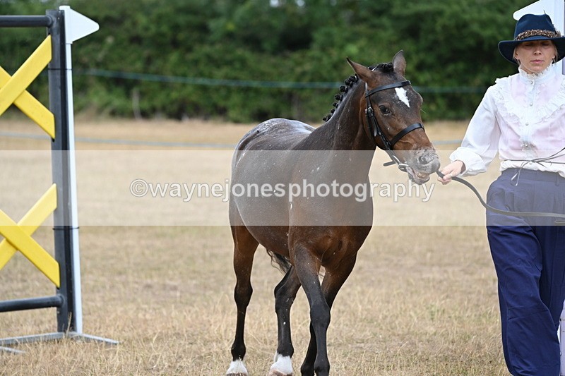 WJ6_8072 - Class 10 Coloured in Hand