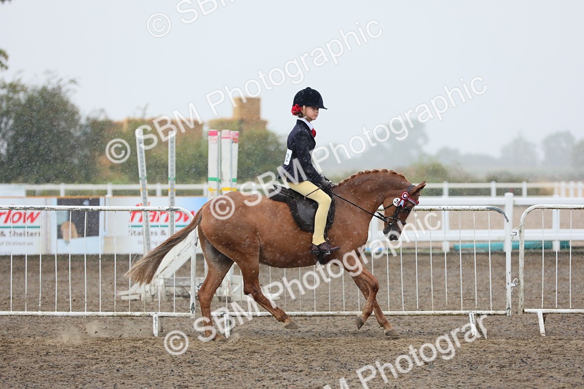 SBM_20573 - Class 804 - Ridden Veteran Pony