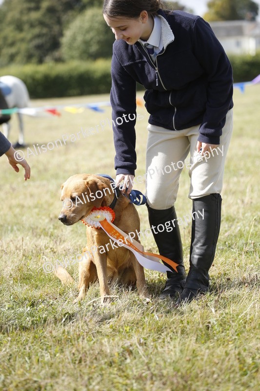 20250831-3806 - Dog Show