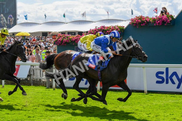 290723-Race 3-Alflaila-0562 - Race 3 3.15pm Sky Bet York Stakes (Group 2)