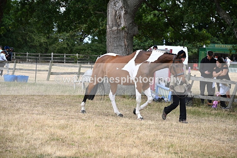 WJ6_8136 - Class 10 Coloured in Hand