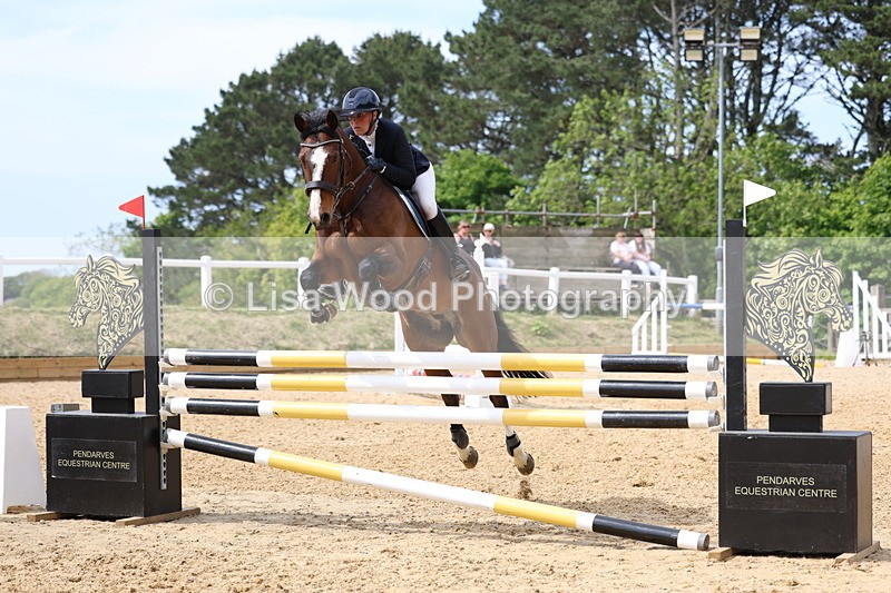 3E7A7359 - Class 7: Senior Newcomers/1.10m open