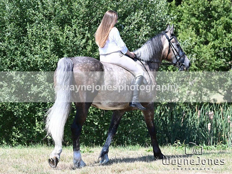 WJ7_4281 - Annable & Atlas 13-07-25