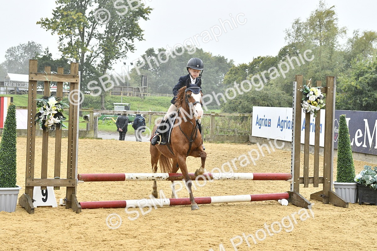 SBM_70969 - J3 - Mini Tour Junior Pony 40cm championship
