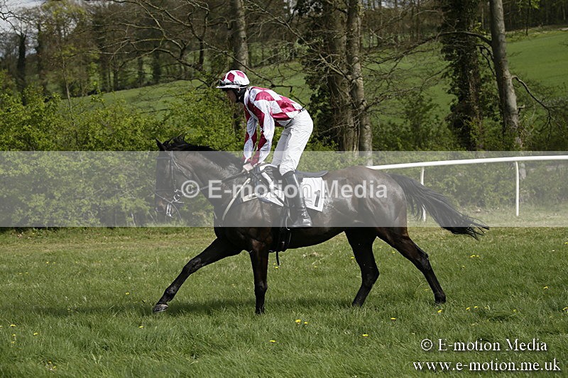 PtP 170417 244 - Old Berks Point-to-Point Lockinge 17/04/17