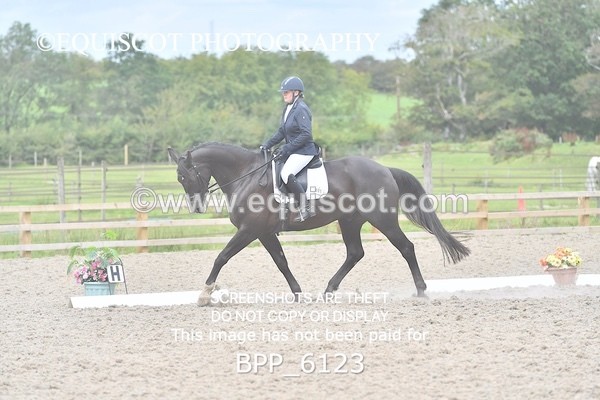 BPP_6123 - NOVICE TEST 4 + 6 LONG ARENA