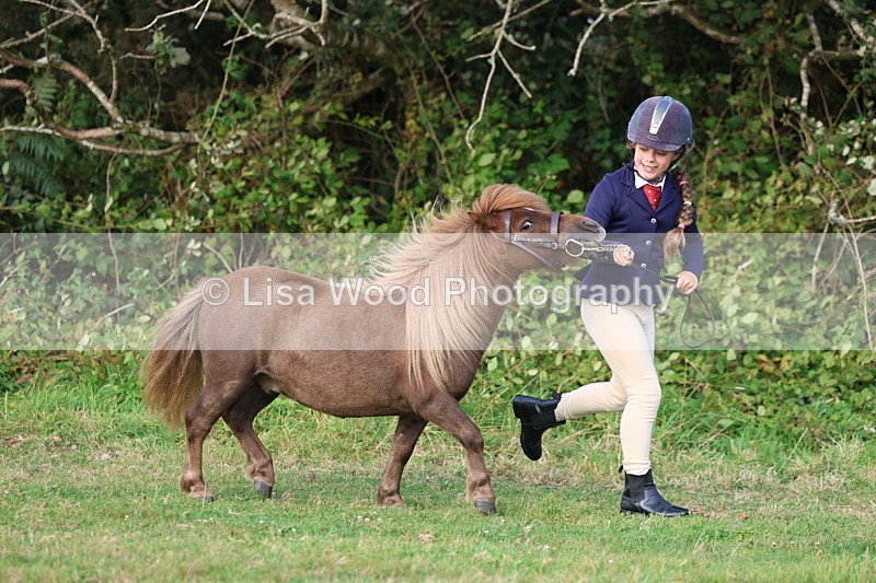 3E7A3197 - Class 12: M & M Small Breeds