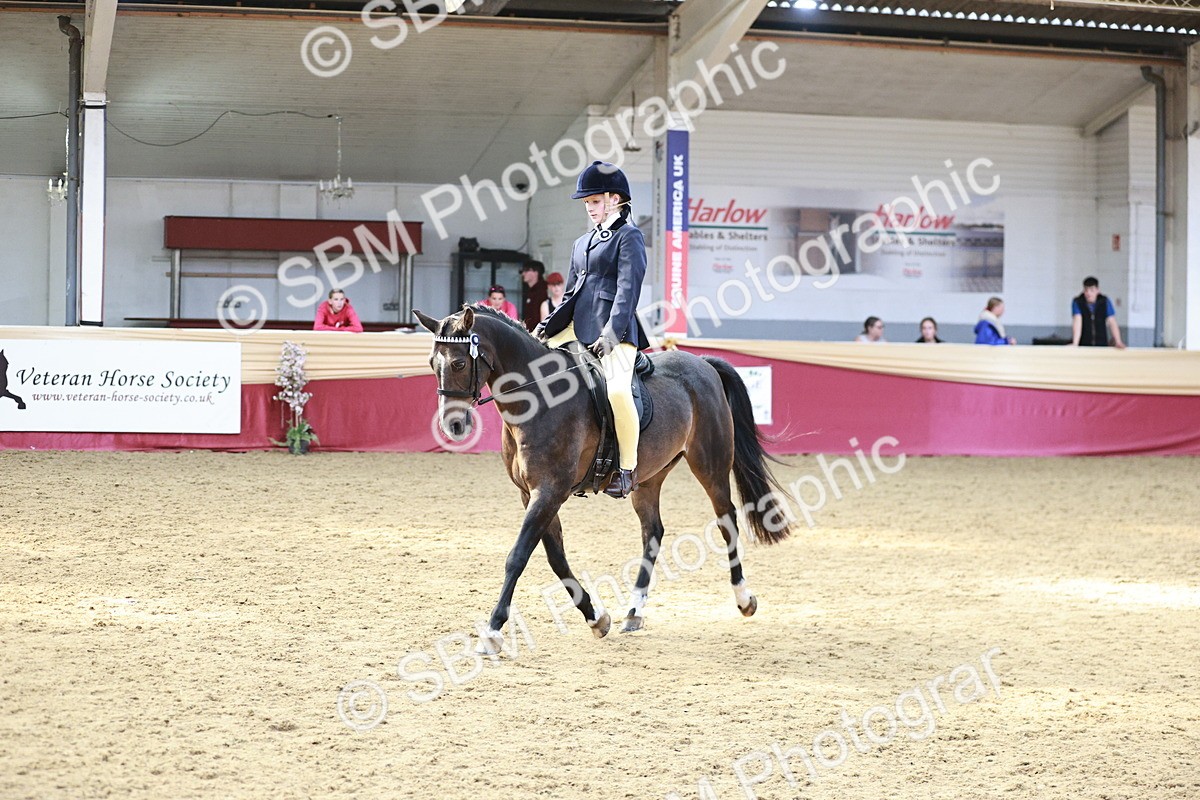 SBM_08291 - Class 11R - Regional Ridden Veteran