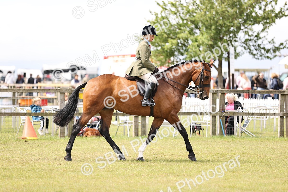SBM_14713 - Class 88-89 - LIHS BSHA Rising Star of Ridden Hunter Type