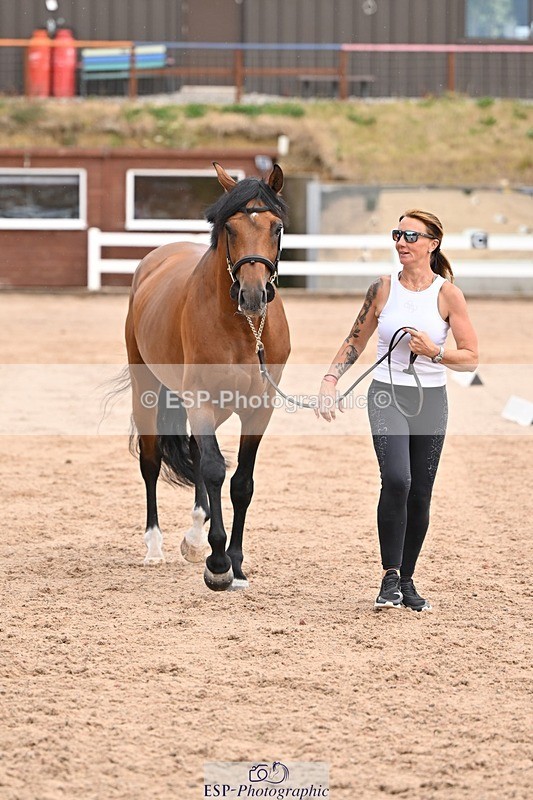 250716-151319-01784 - Trot Up 2.30 to 3.30