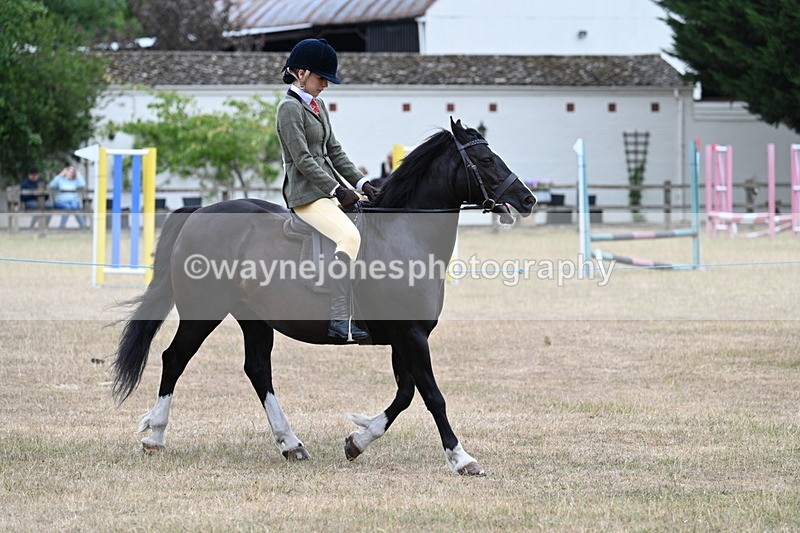 WJ7_0488 - Class 6 Ridden Mountain and Moorland