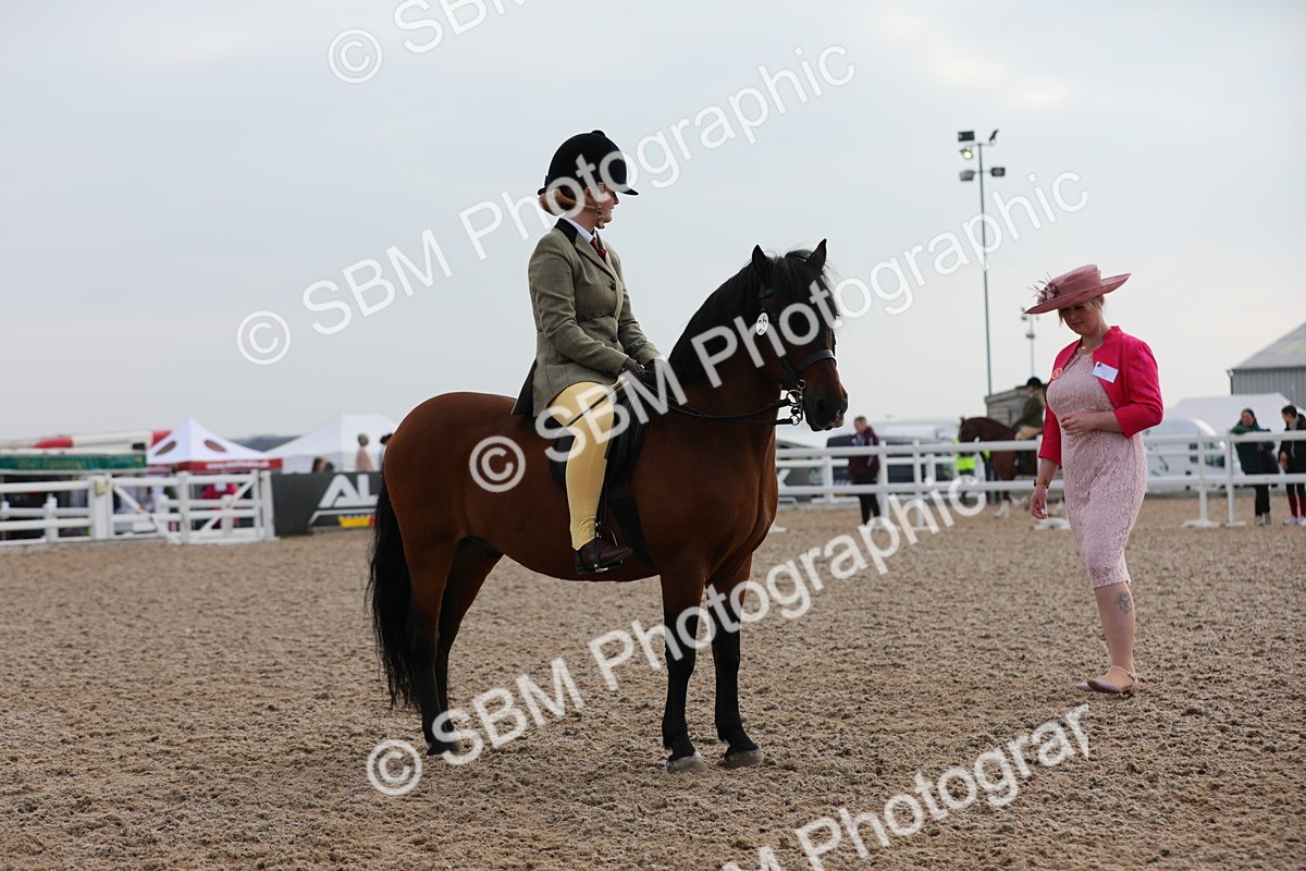 SBM_09635 - Class 301 Ridden M&M -Small Breeds
