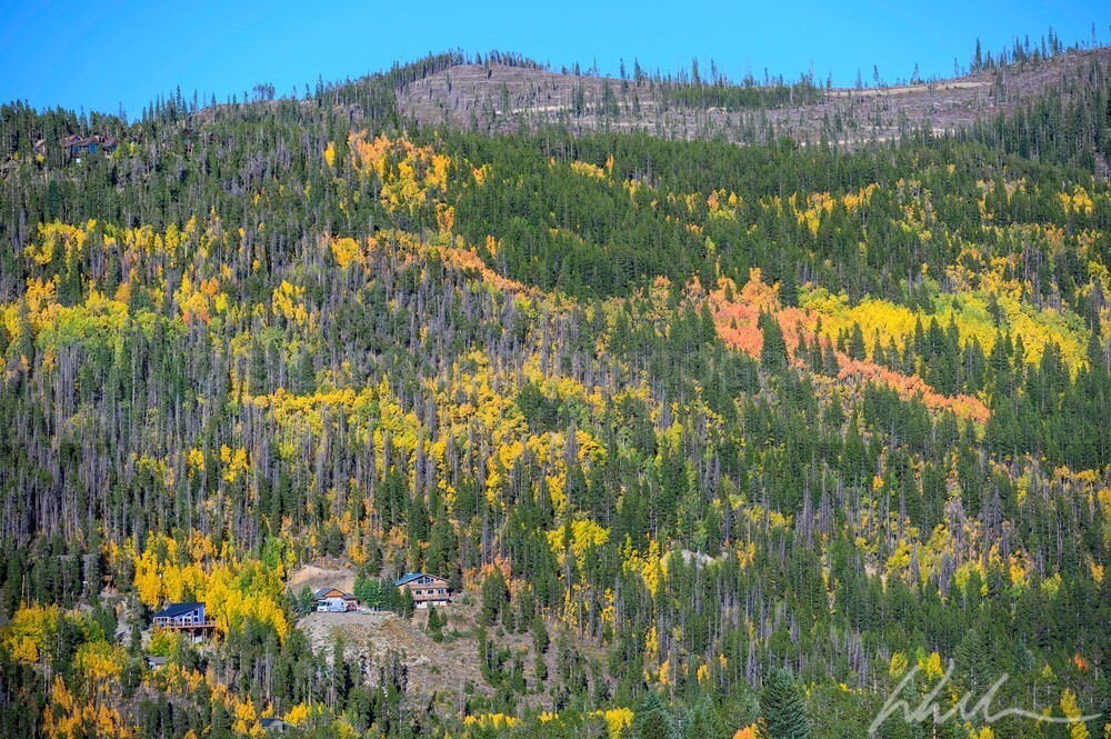 DSC_2555 - Autumn