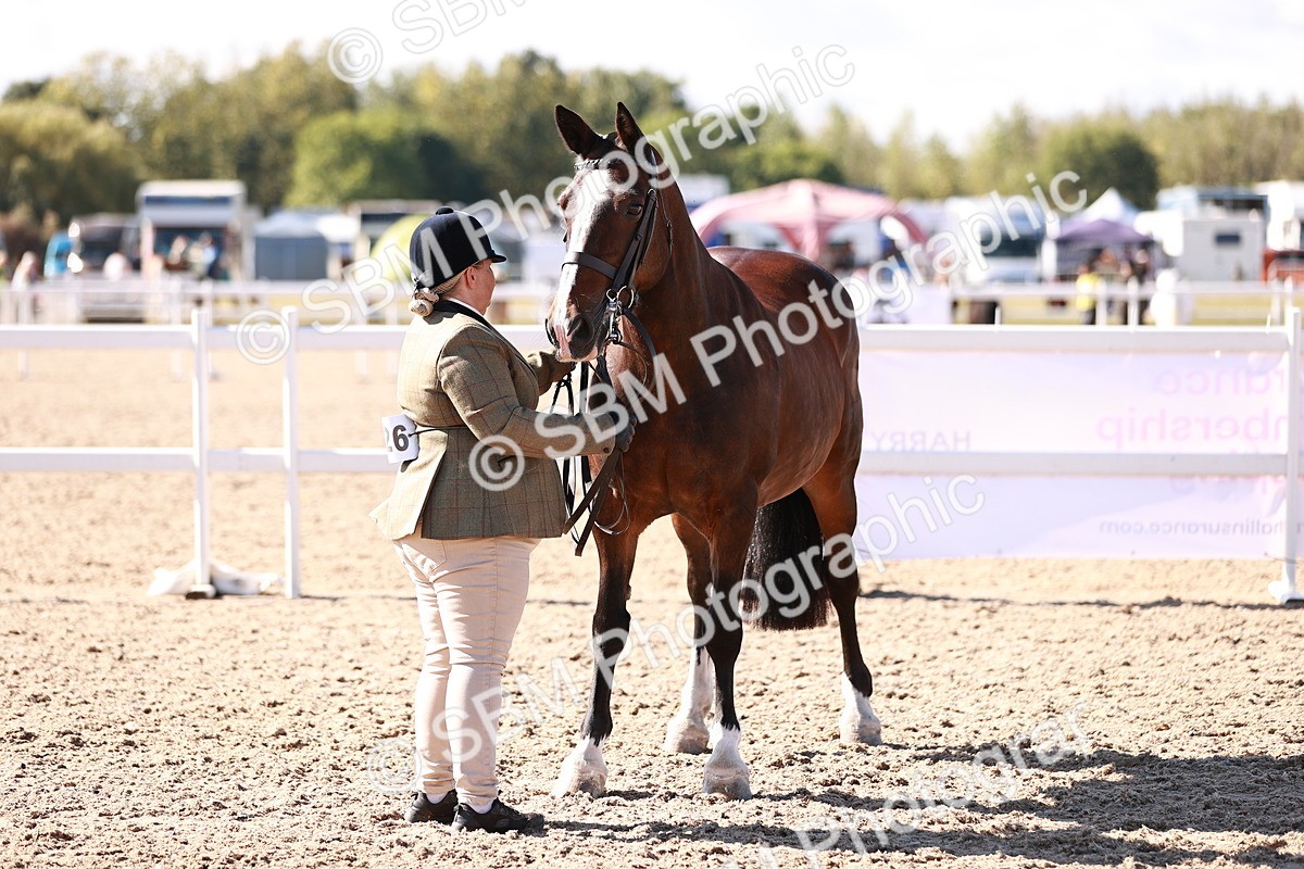 SBM_13231 - Class 405 - IH Show Cob