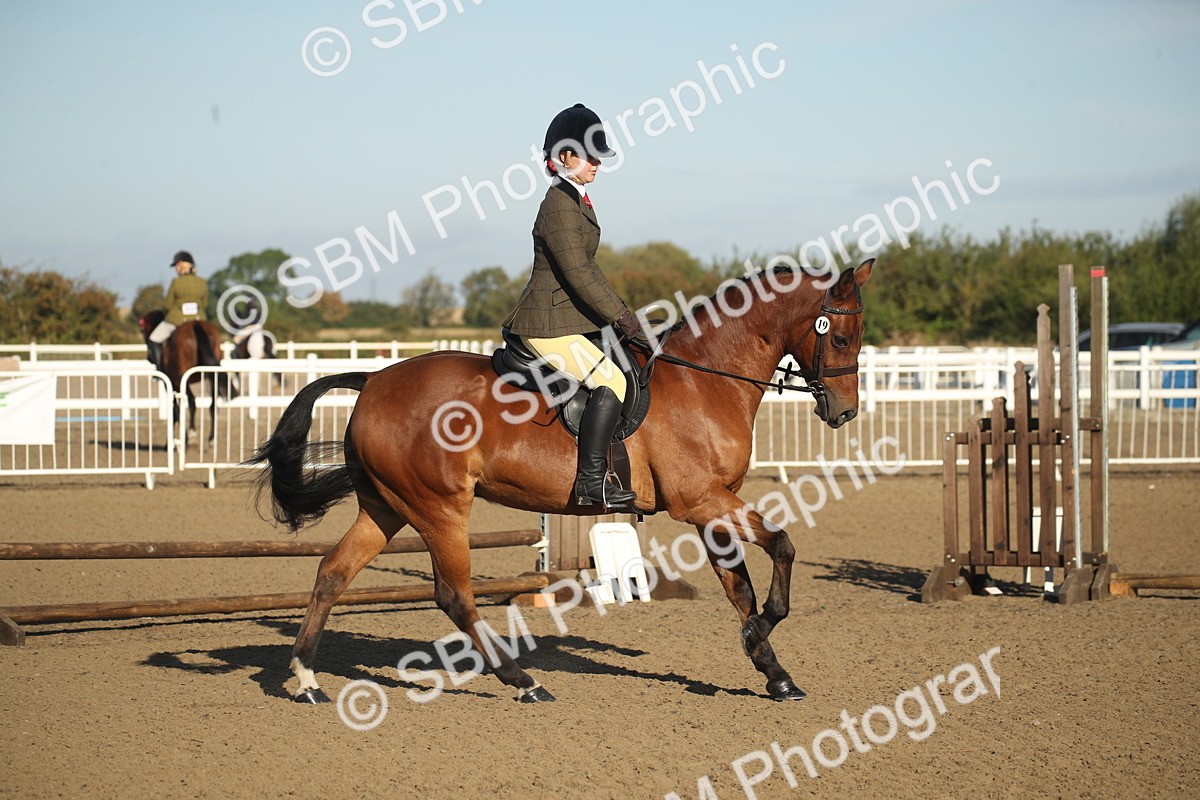 SBM_11554 - Class 502 - Riding Club Horse