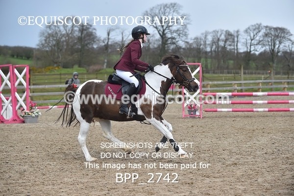 BPP_2742 - CLASS 29 STX-UK Pony BritiNovice / 0.80m Open