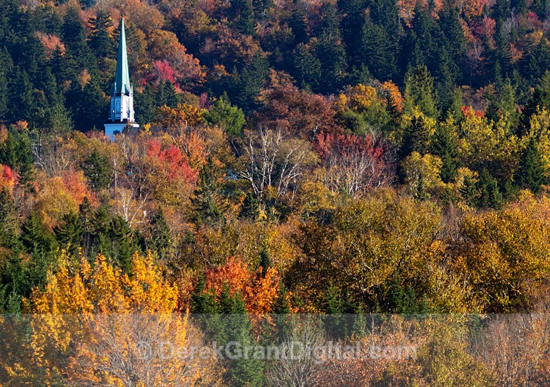 Kingston New Brunswick Autumn Foliage - Autumn Foliage