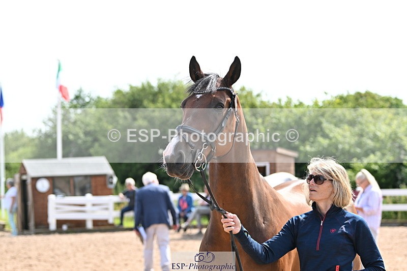 240717A-155804-03226 - Trot Up 3pm to 4pm