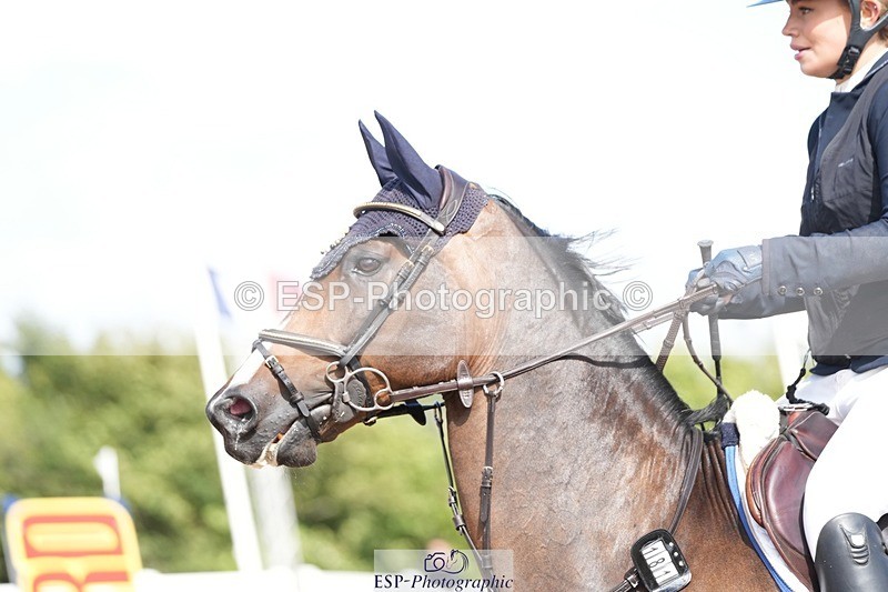 250720-102641-18782 - Cls 12, 1 Star Bronze Tour Accumulator