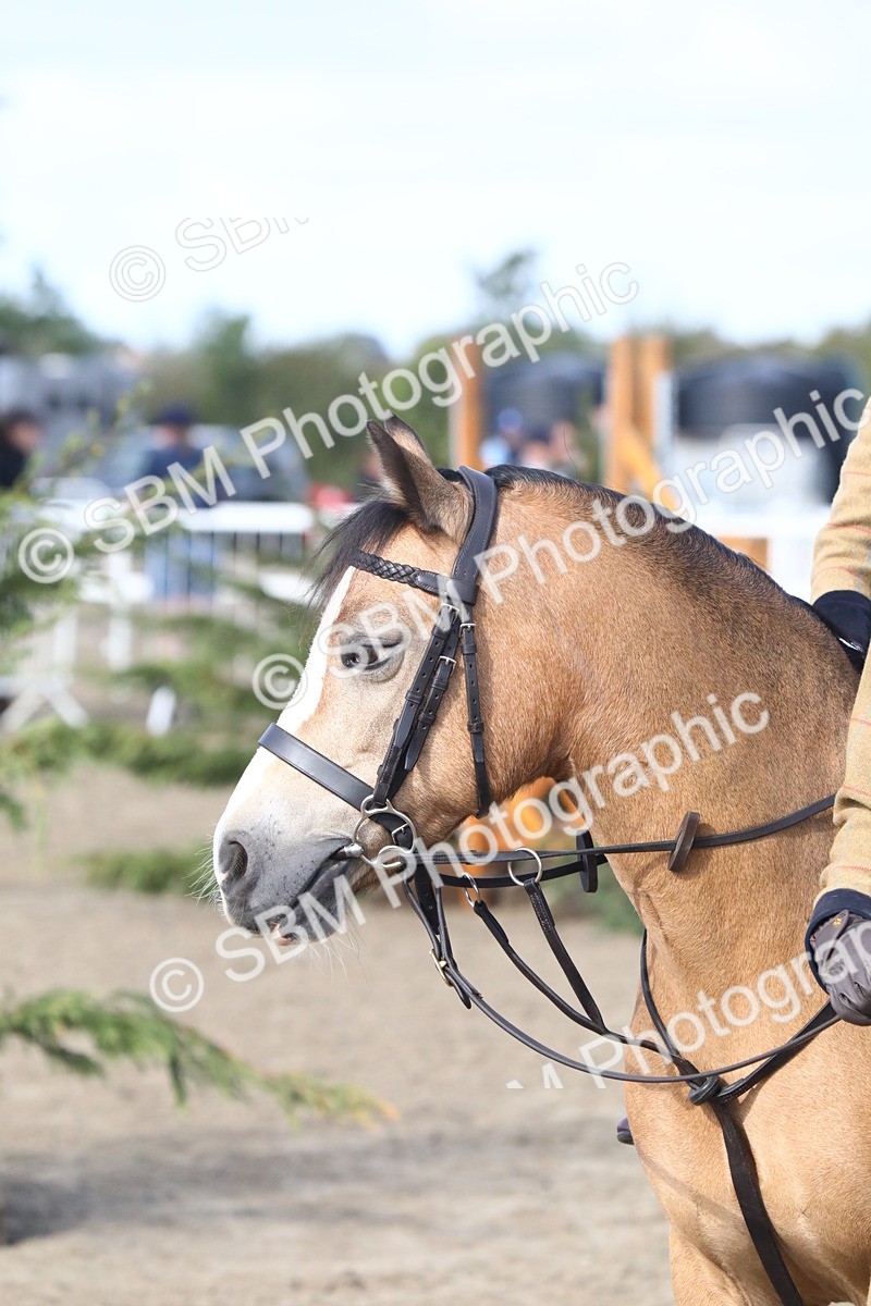 SBM_09150