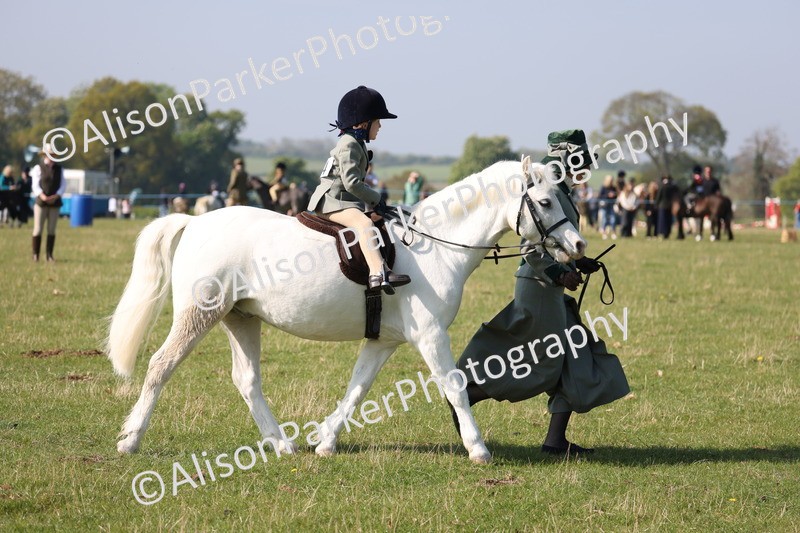 20250427-0138 - Class 30 - Tiny Tots Lead Rein