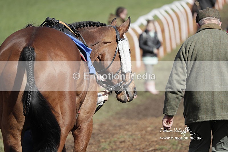 PtP 100423 682 - Old Berkshire Point-to-Point Lockinge 10/04/23