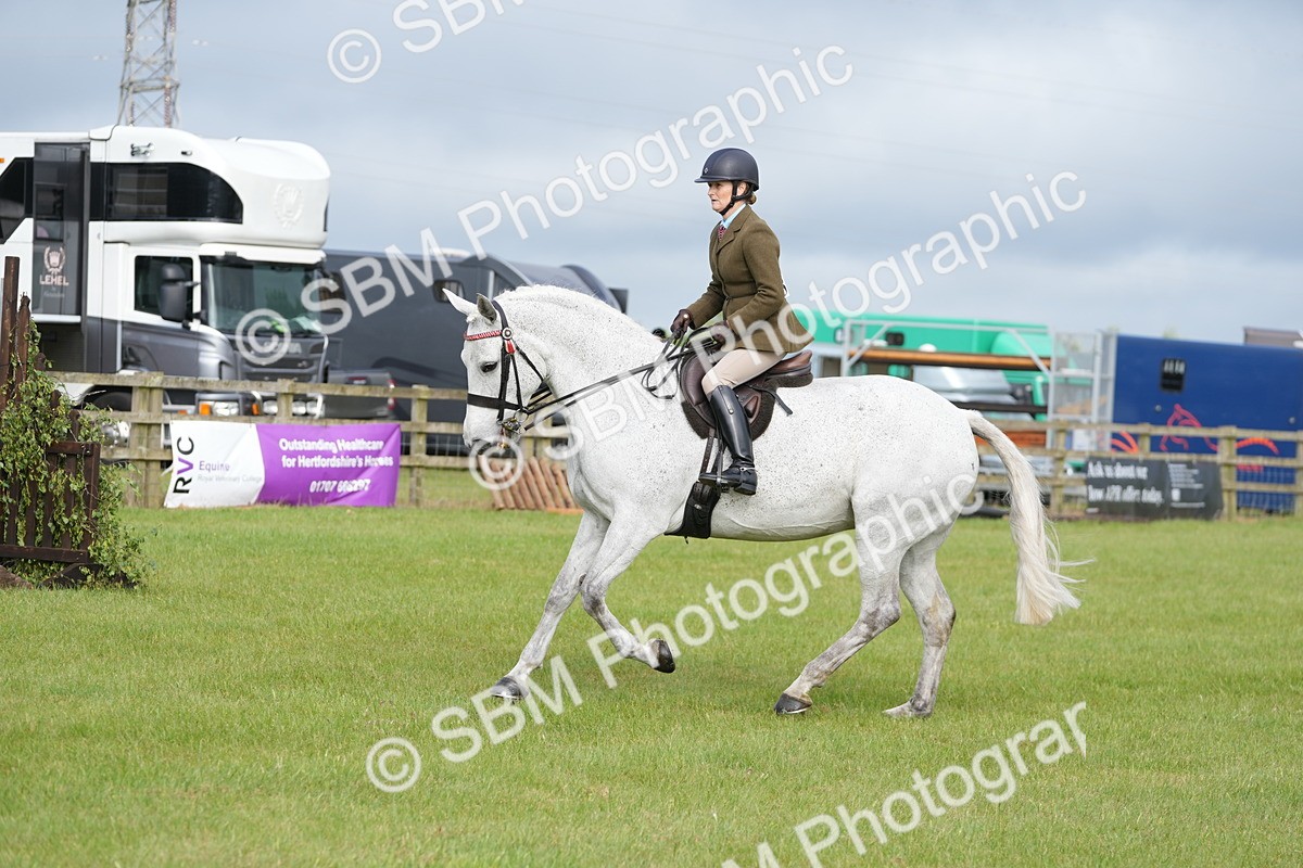 SBM_10587 - Class 97-98 - LIHS BSHA Rising Star Working Show Horse Hunter