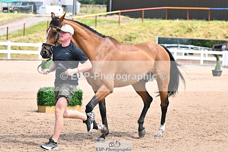 240718A-105303-01507 - Trot Up 12pm to 1pm