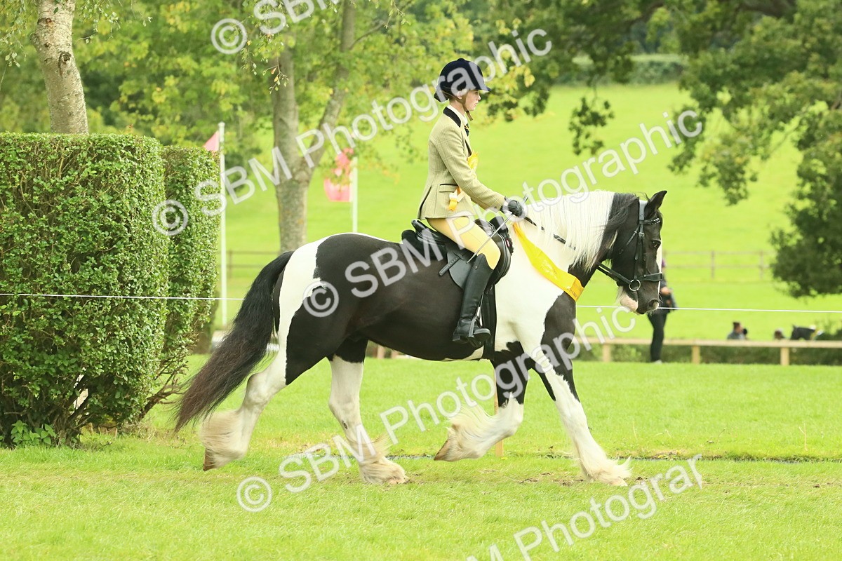 SBM_75004 - Ridden Pony Supreme Championship