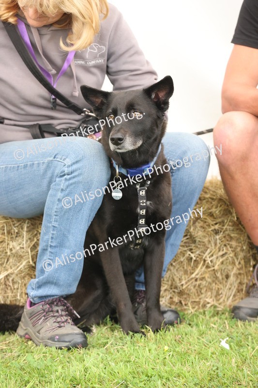 20250607-0043 - Misc