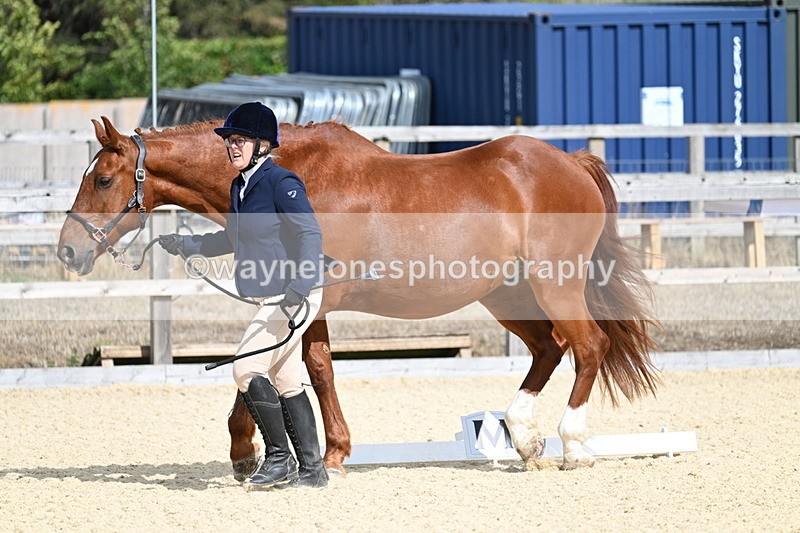 WJ7_2014 - In Hand