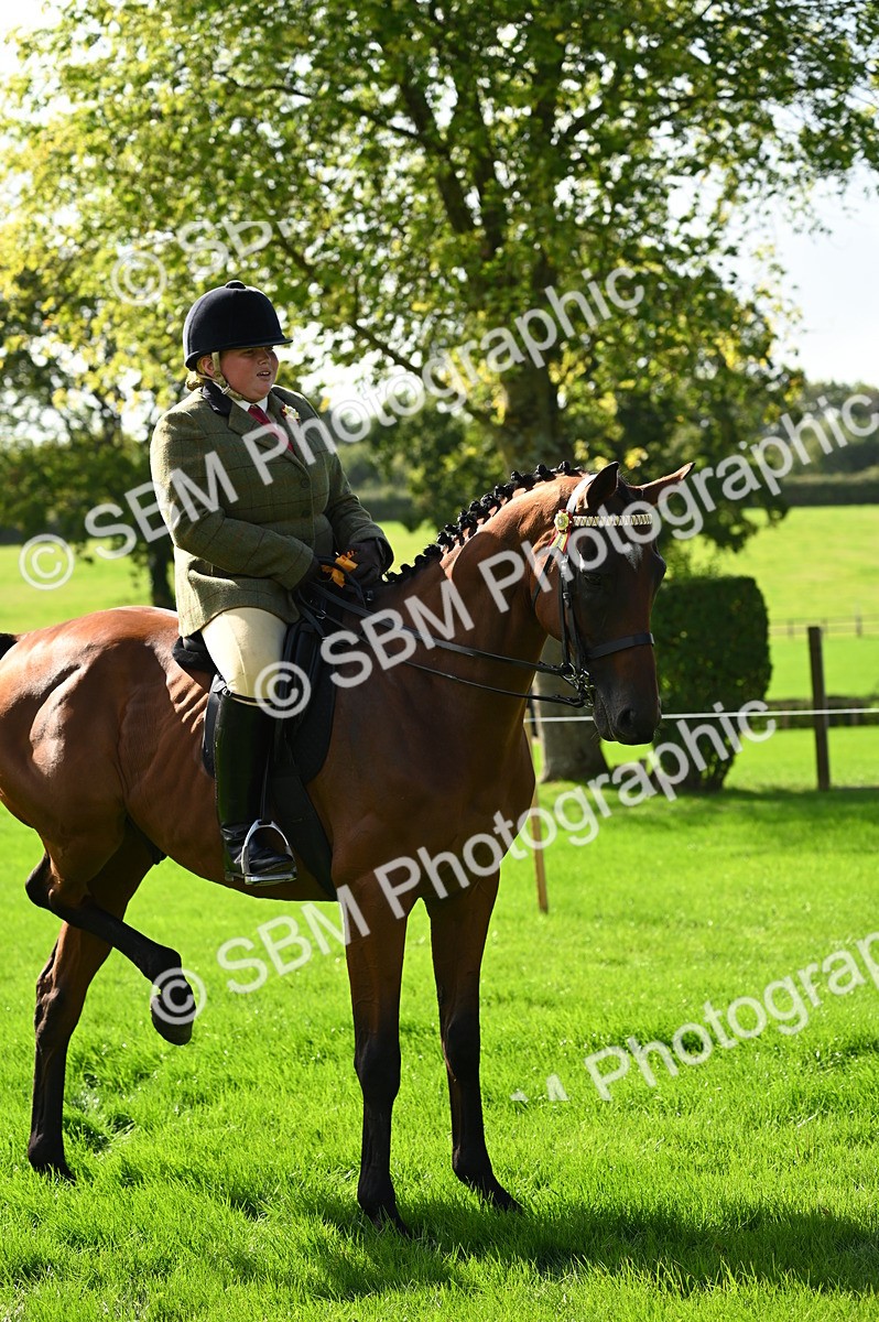 SBM_02115 - S2 - TSR Ridden Horse Showing