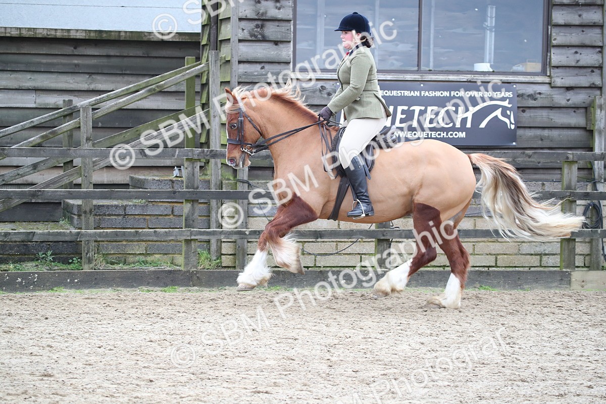 SBM_006158 - Class 10-13 - RIHS Small Large Breeds