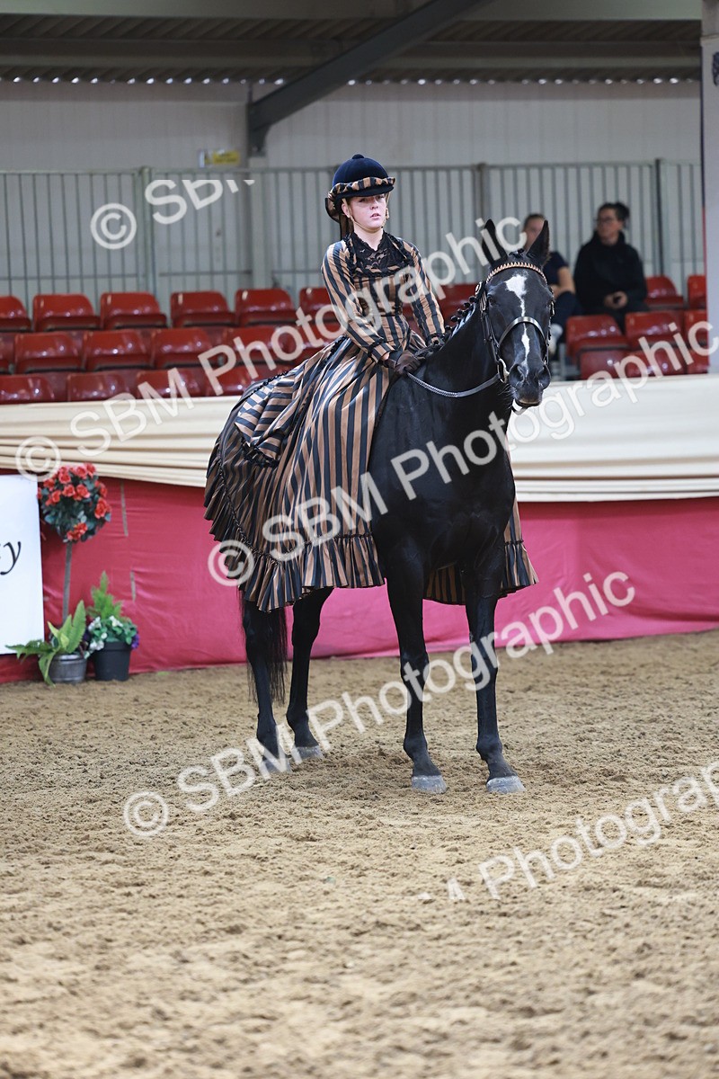 SBM_13489 - Class 104 - Ridden Costume - Astride Junior