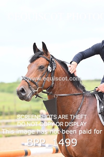 BPP_1499 - CLASS 11 SAT Ariat Senior BritiNovice 2ND ROUND